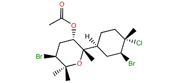 8-Acetylcaespitol